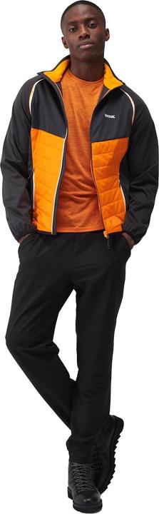 Produktbild Regatta Steren Hybrid Softshelljacke (S)