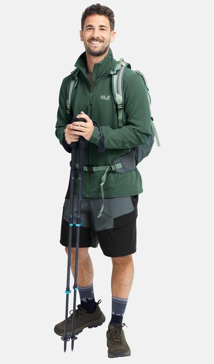 Image du produit Jack Wolfskin Ridge Hike Shorts M (58)