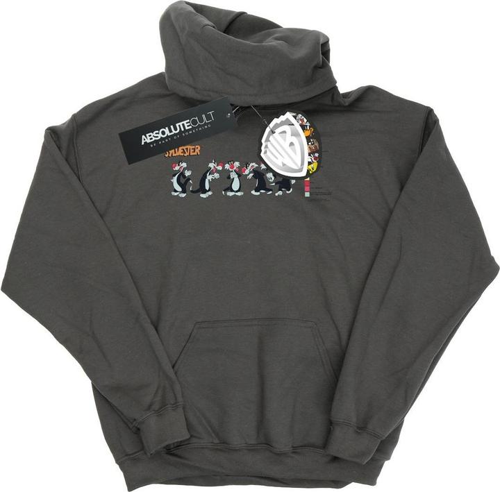 Produktbild Looney Tunes Sylvester Colour Code Kapuzenpullover (S)