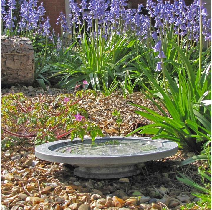 Produktbild Wildlife World Oasis