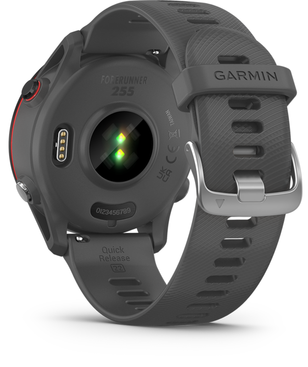 Actual product image Garmin Forerunner 255 (46 mm)