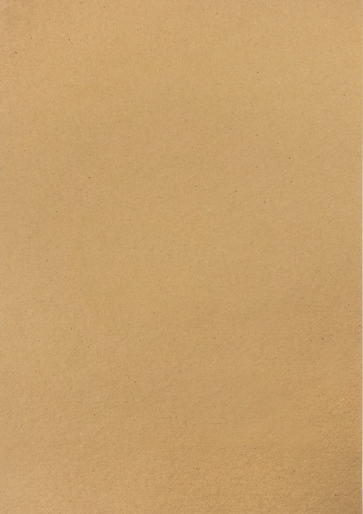 Actual product image MarpaJansen Vintage Photo Card "Winter Branches", 50 x 70 cm (230 g/m², 1 x)