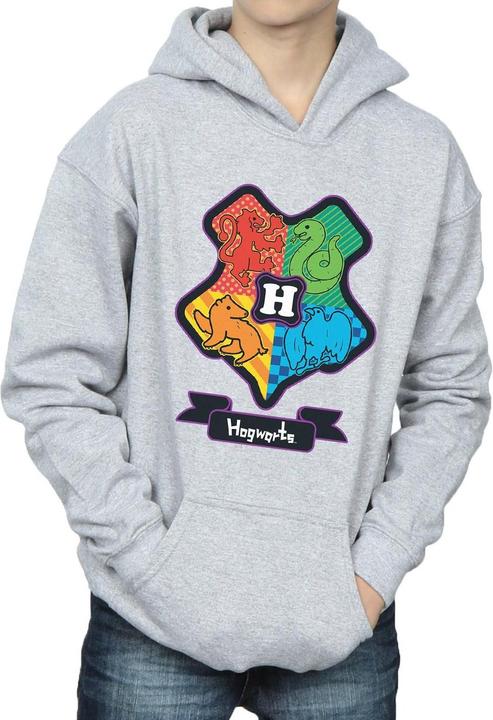 Immagine prodotto Hogwarts Junior Crest Felpa con Cappuccio Ragazzi (116)