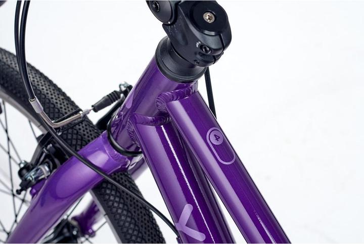 Actual product image Academy Grade 4 Belt (20")