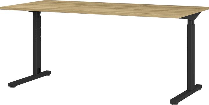 Germania Profi 2.0 (160 x 80 x 80 cm)