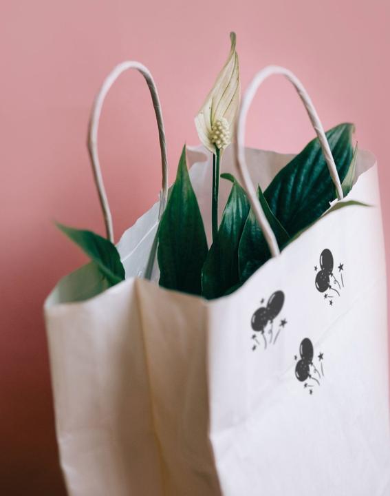 Immagine prodotto Colop Timbri Little NIO Set Timbri inglesi, 10 pezzi