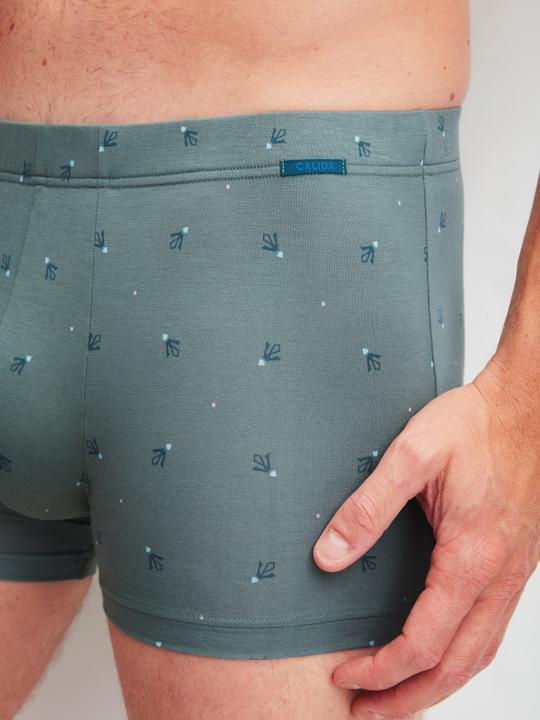 Produktbild Calida Grafic Cotton Boxershorts (M, Einzelpack)