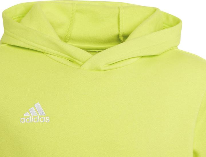 Actual product image adidas Entrada 22 Sweat Hoodie (116)