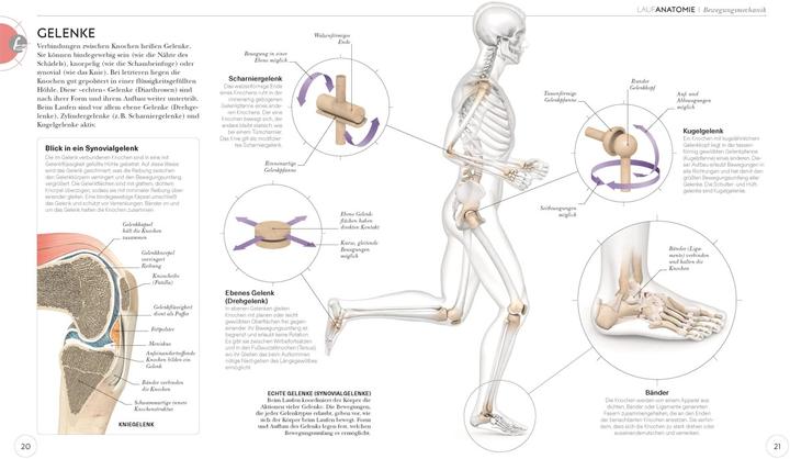 Produktbild Lauftraining – Die Anatomie verstehen (Deutsch, Chris Napier, 2020)