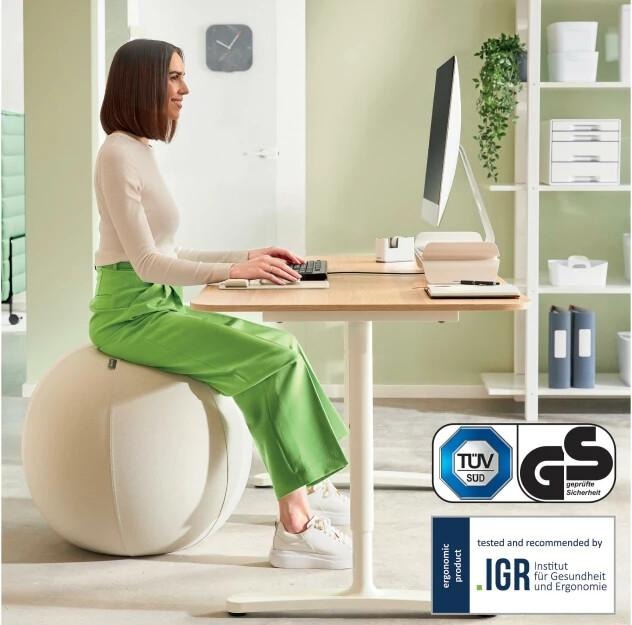 Image du produit Leitz Balle d'assise Active Ø 65cm gris clair (65 cm)