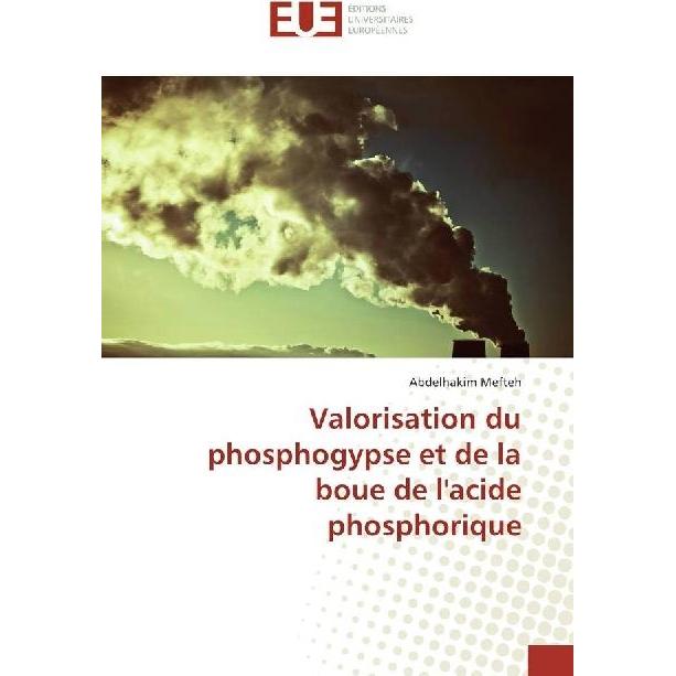 Valorisation du phosphogypse et de la boue de l'acide phosphorique, Fachbücher von Abdelhakim Mefteh