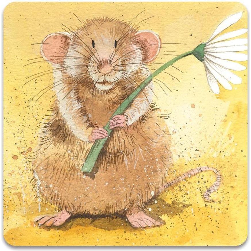 Teka, Magneti, Magnet FM104 Malcolm Maus