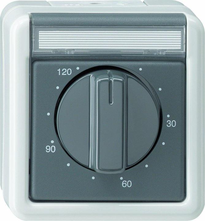 Produktbild Gira Zeitsch. 2-p 120 min BSF WG AP Grau