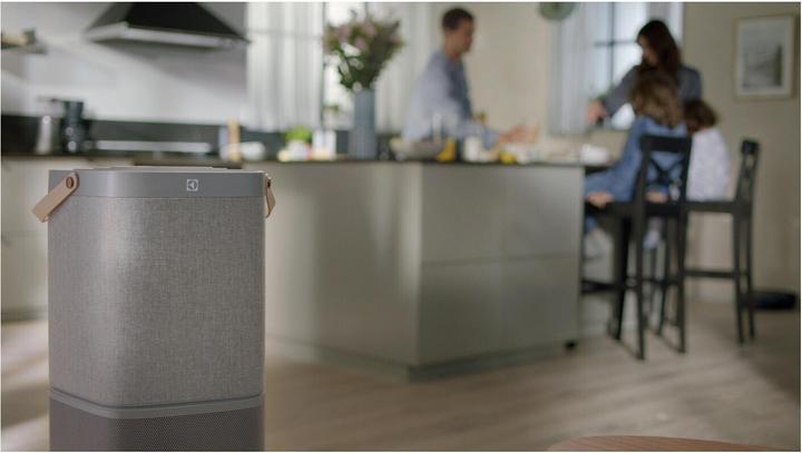 Actual product image Electrolux Pure A9 BREATHE360 Pollen Protect Filter (1 x)