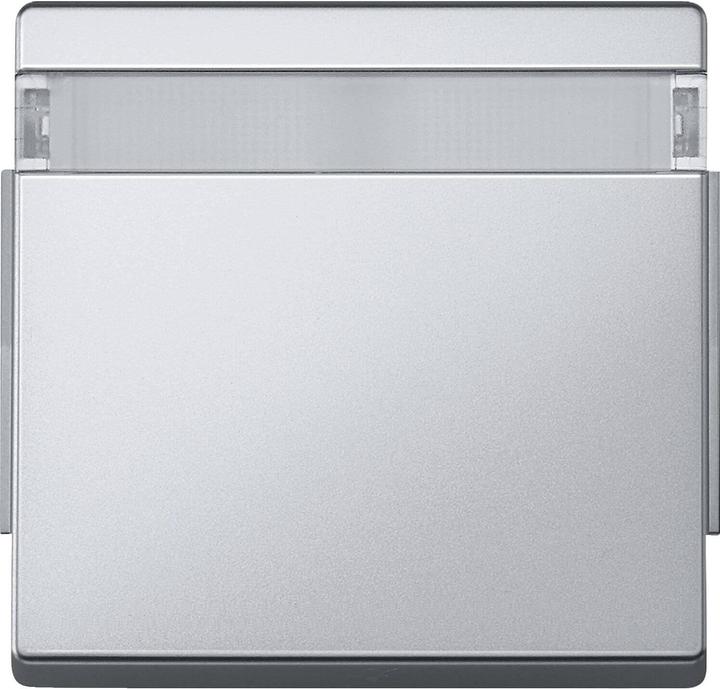 Actual product image Merten Rocker with title block, aluminium, 343960