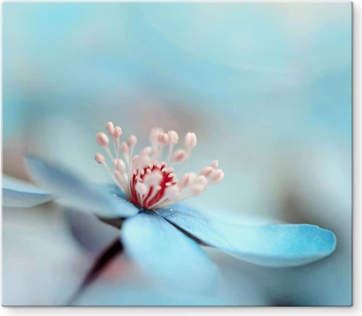 Image du produit Trenddeko Westum - Des fleurs délicates