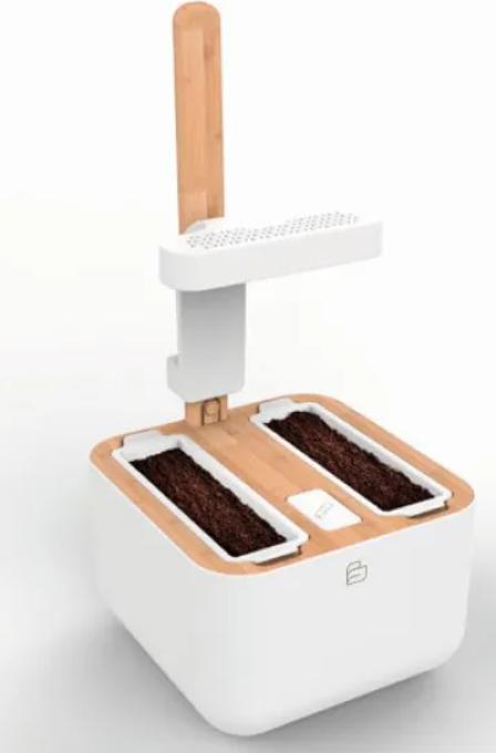 Image du produit Véritable Botaneo Eylo (18.40 cm)