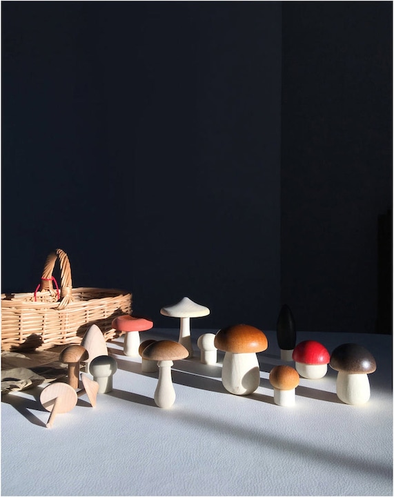 Produktbild Moon Picnic Holzpilze 15-er Set im Korb