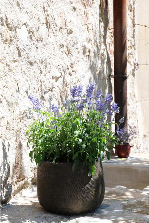 Produktbild Herstera Pita (32 x 32 x 17 cm)