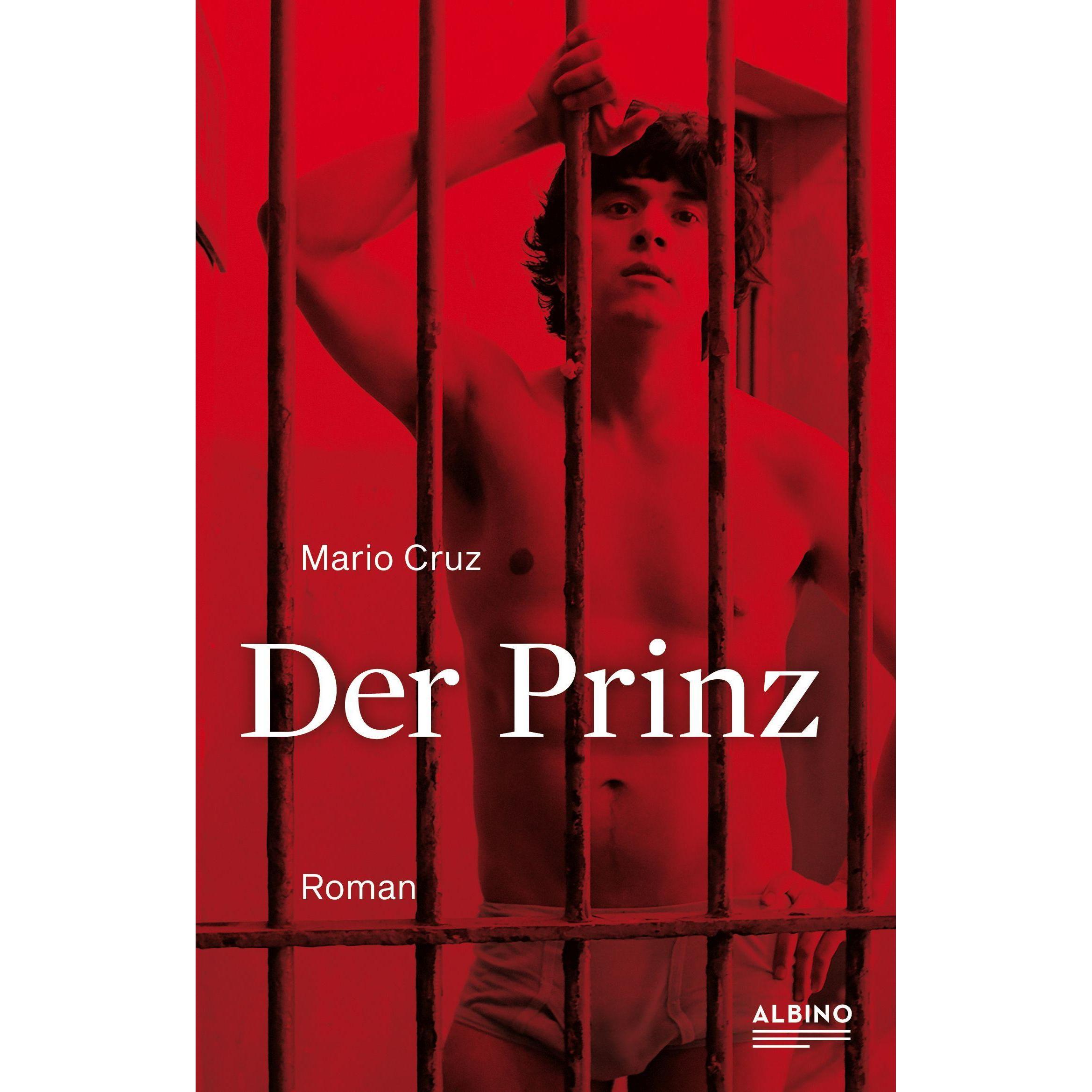 Der Prinz, Belletristik von Mario Cruz, J.J. Schlegel