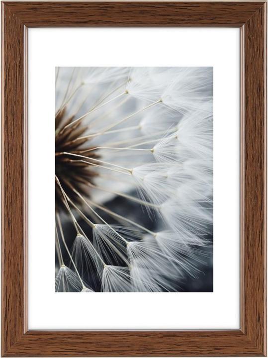 Produktbild Hama Breeze (7 x 10 cm)