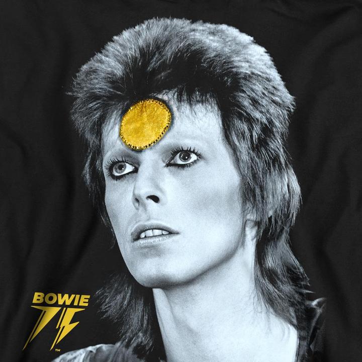 Actual product image David Bowie Unisex Adult Golden Bowie Sweatshirt (M)