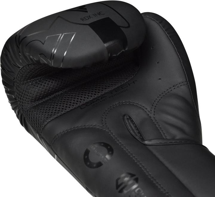 Image du produit Rdx Gants de Boxe Rex F6 (16 OZ)