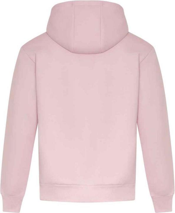 Immagine prodotto Awdis Felpa con Cappuccio Firma Adulto Unisex (XS)