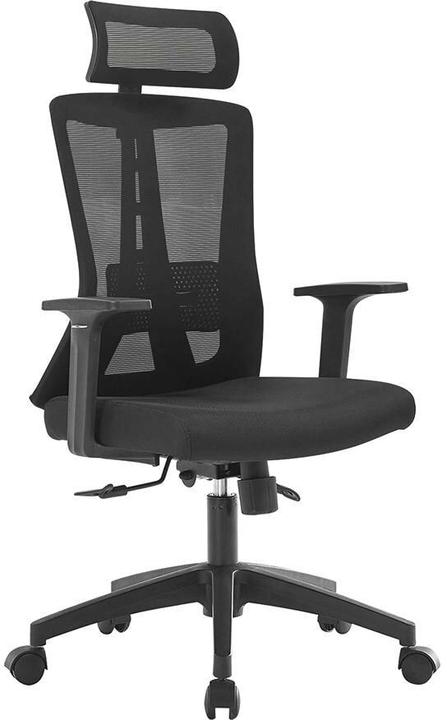 Immagine prodotto Contini ErgoFlex (47 - 53 cm)