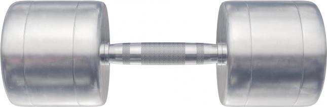 Image du produit Gorilla Sports Chrom Kurzhanteln (2 x 12,5 kg)