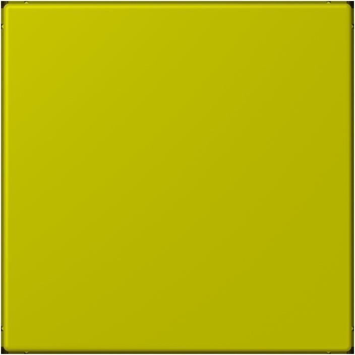 Produktbild JUNG Blindabdeckung