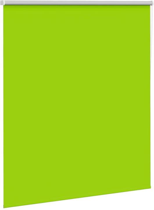 Actual product image vidaXL Verdunkelungsrollo (140 x 150 cm)