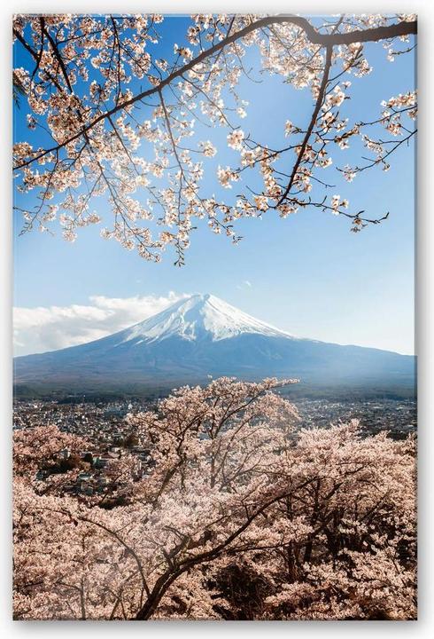 Immagine prodotto Trenddeko Monte Fuji in Giappone (100 x 150 cm)