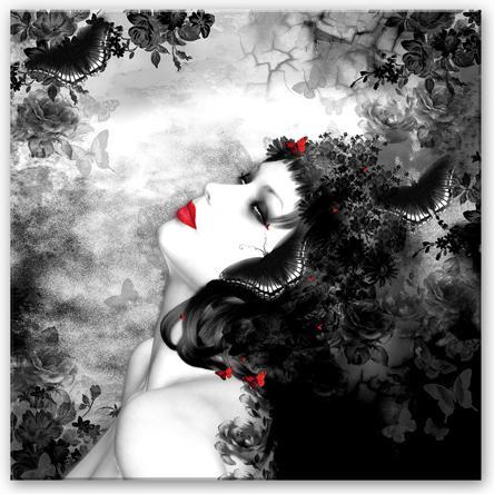 Produktbild Trenddeko Schwarzer Falter Imago (20 x 20 cm)