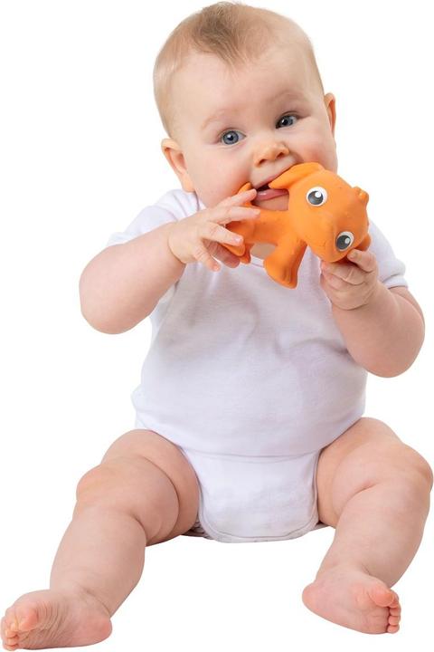 Actual product image Playgro Eco Play Natural Rubber Pooky Puppy- Orange (10188822)