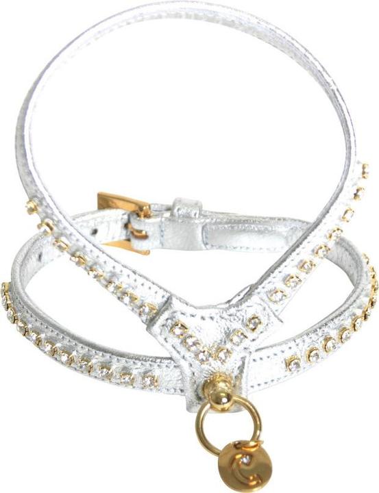 Produktbild Carlain AGN Strass (12, Hund, Spazieren)