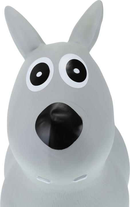 Image du produit Relaxdays Animal gonflable