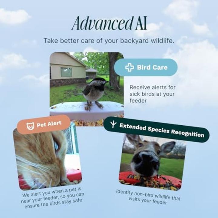 Produktbild Bird Buddy Futterspender