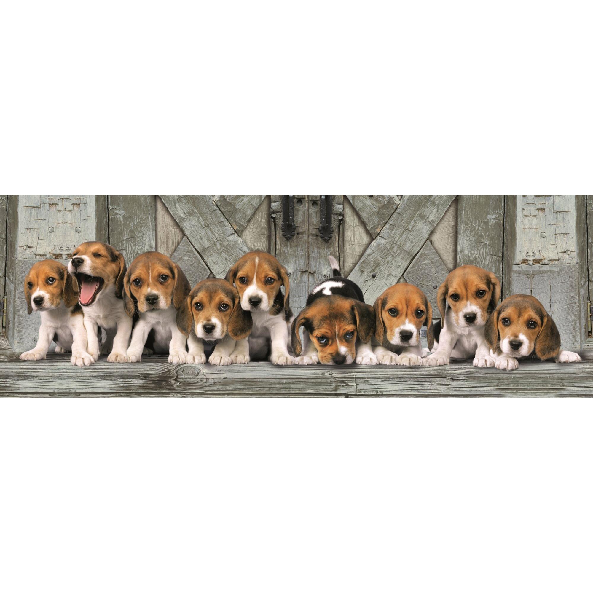 Thumbnail - Clementoni Puzzel 1000 Panorama Beagles (1000 Teile)
