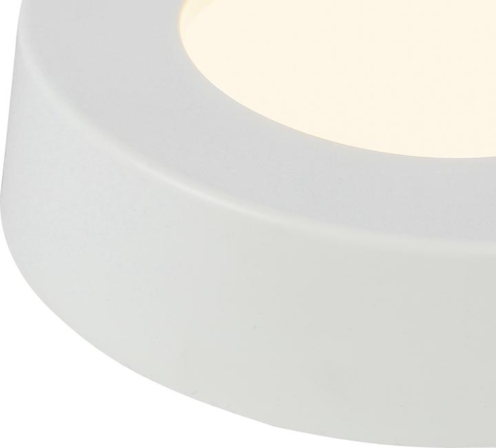 Image du produit Globo Plafonnier Paula (450 lm)