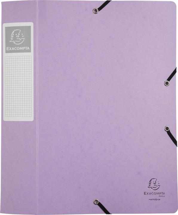 Image du produit Exacompta Boîtes de classement (A4, 60 mm, 1 pcs)