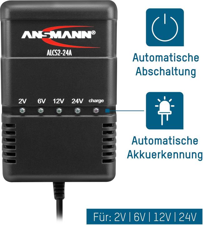 Actual product image Ansmann Quick charger, single 220 V, 1 hour standard CP/DP1000 series