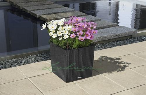 Image du produit Lechuza Cube Cottage (40 cm)