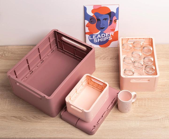 Actual product image Exacompta Boîte pliable The Smart Case midi Skandi - Nude (19 cm, 1x)