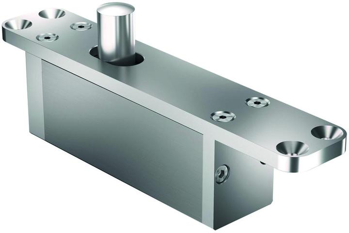 Actual product image FritsJurgens Zapfenbänder TP-70-G Türgewicht 150-500k