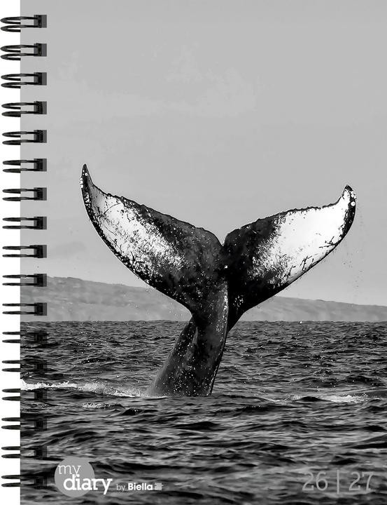 Image du produit Biella Agenda scolaire mydiary Wire-O (12 x 16,5 cm, 1 semaine / 2 pages)