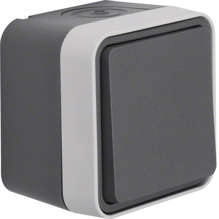 Produktbild Berker Kreuzschalter