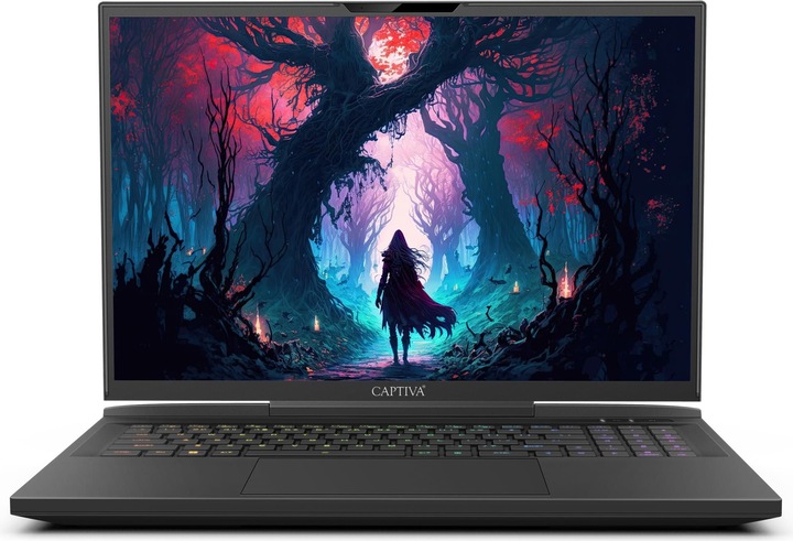 Produktbild Captiva Highend Gaming I81-497 Core i9 RTX 4070 (17.28", Intel Core i9-14900HX, 64 GB, 4000 GB, DE)