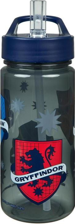 Scooli Trinkflasche Harry Potter 500 ml, Grau/Schwarz, Material (0.50 l)