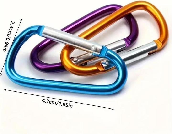 Actual product image Champ Carabiner key fob